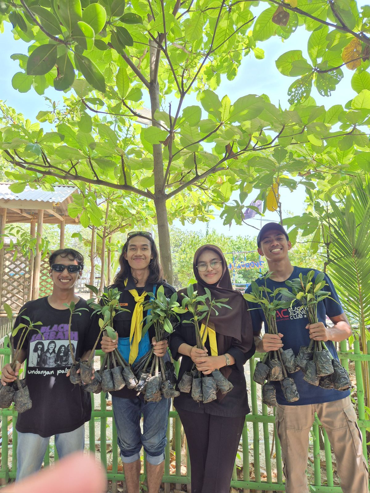 Penanaman 200 Bibit Mangrove - Mapuca Kronjo